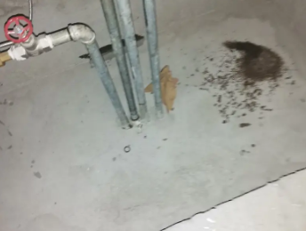 桃源卫生间测漏水价格明细