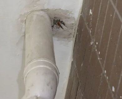 桃源漏水检测哪家好